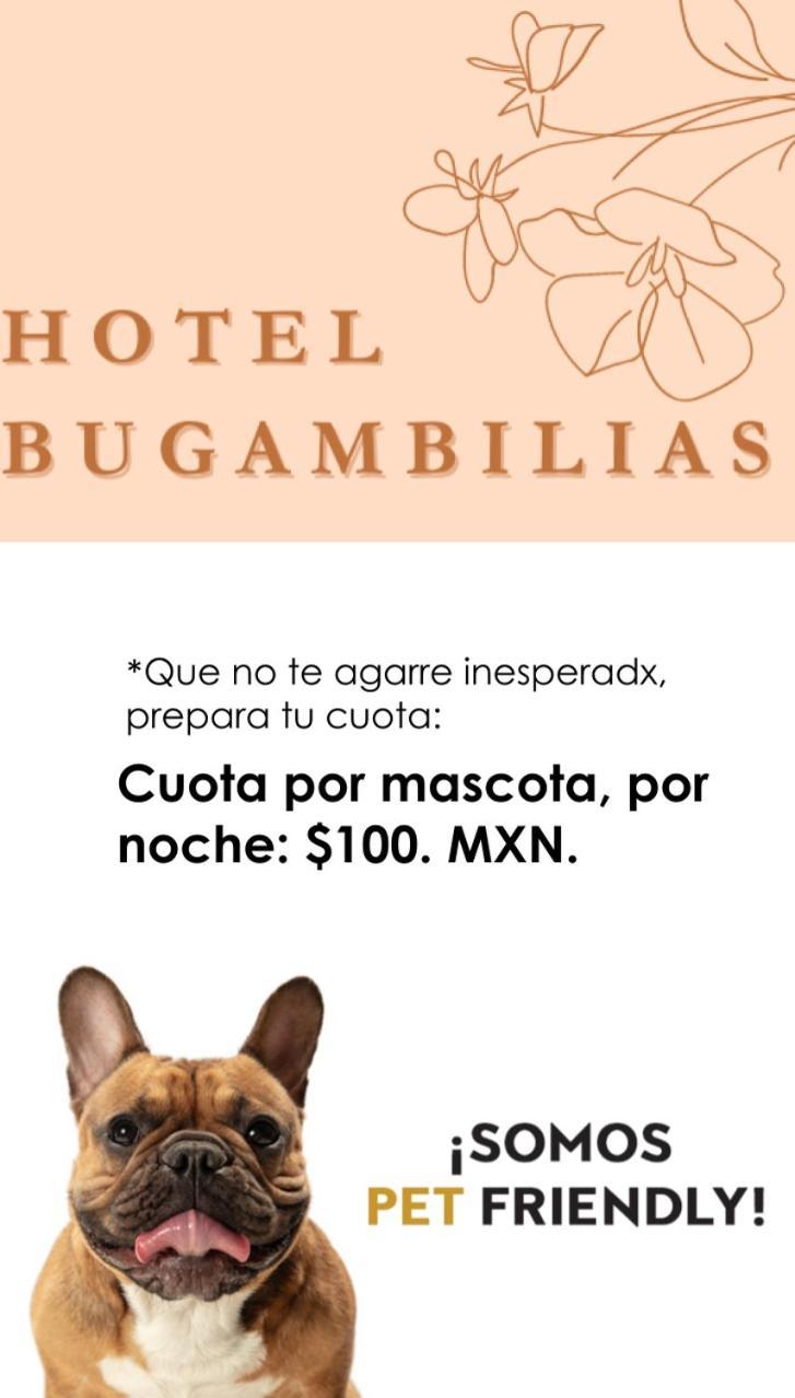 Hotel Bugambilias Oaxaca Экстерьер фото